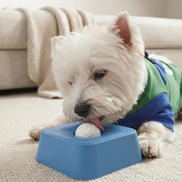 Pet Licking Bowl - Ultra-Stable Slow Feeder & Puzzle Toy for Boredom Relief, Gut Health, and Fun Mealtimes