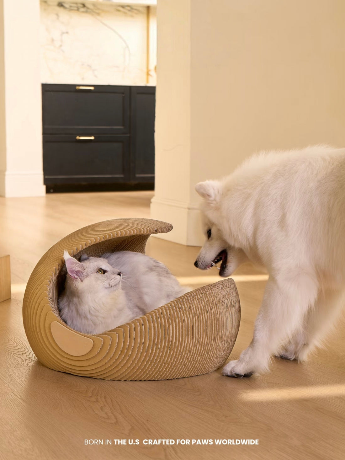strawii Wave Lounge for cat