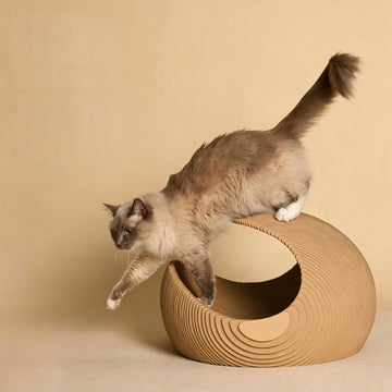 strawii Wave Lounge for cat